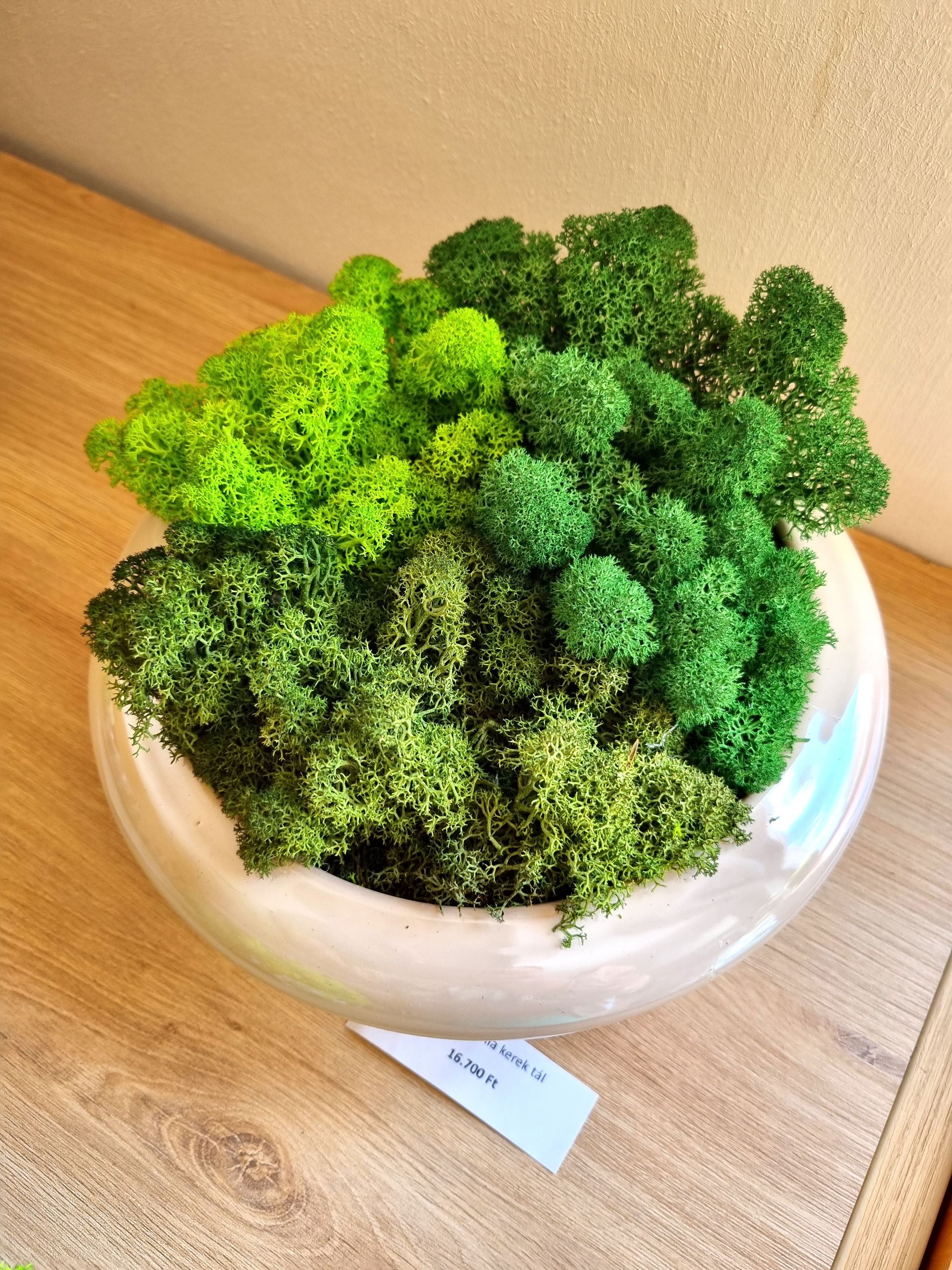 kerámia kerek tál izlandi zuzmó dekoráció ár