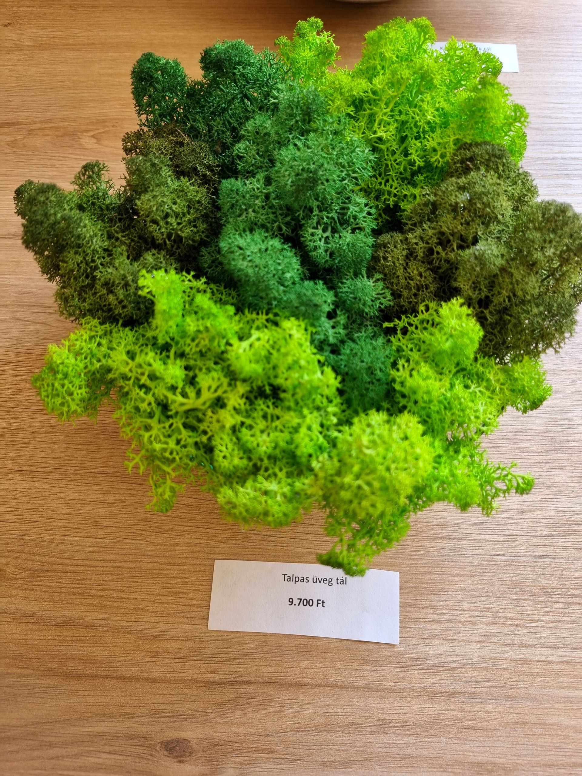 talpas üveg tál izlandi zuzmó dekoráció ár