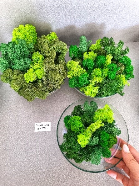 16 cm-es izlandi zuzmó dekoráció ár